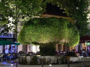 Fontaine_Moussue-salon-de-provence