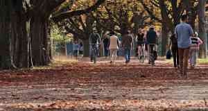 En famille au Puy du Fou : Les activités inoubliables du Grand Parc en Vendée