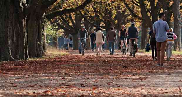 En famille au Puy du Fou : Les activités inoubliables du Grand Parc en Vendée