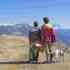 tourisme animalier